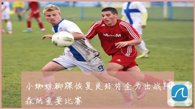 小蜘蛛脚踝恢复良好将全力出战阿森纳重要比赛